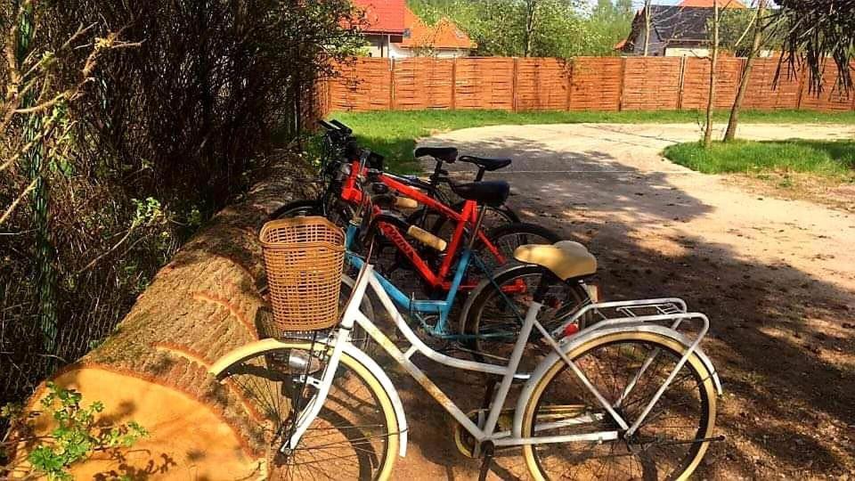 Miodowy Zakatek Caloroczne Domki I Pokoje Przy Suntago, Deepspot, Pyszne Sniadania, Grill, Ognisko Mszczonów Kültér fotó