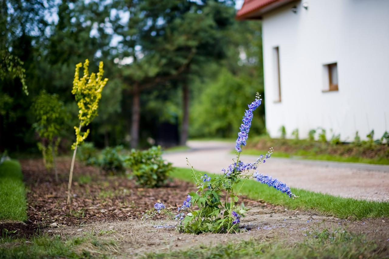 Miodowy Zakatek Caloroczne Domki I Pokoje Przy Suntago, Deepspot, Pyszne Sniadania, Grill, Ognisko Mszczonów Kültér fotó