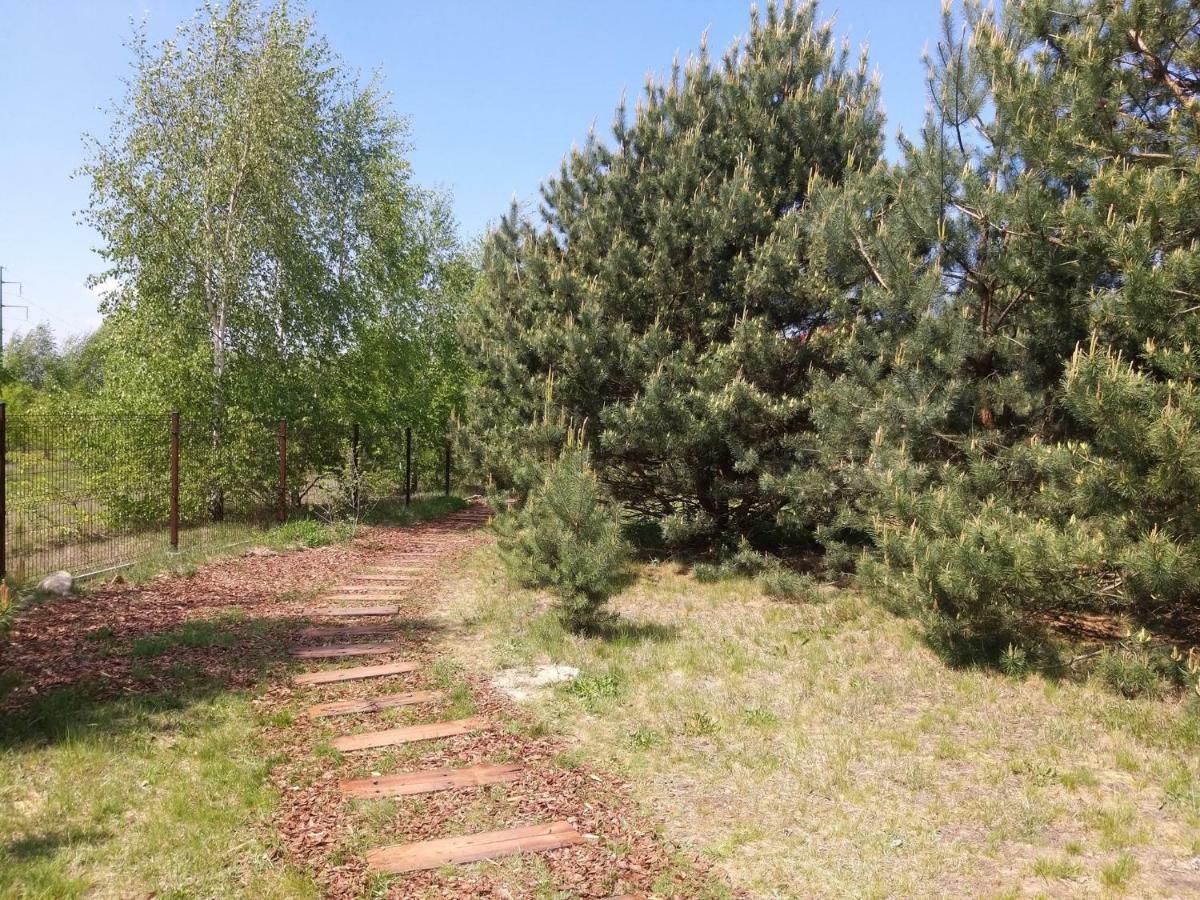 Miodowy Zakatek Caloroczne Domki I Pokoje Przy Suntago, Deepspot, Pyszne Sniadania, Grill, Ognisko Mszczonów Kültér fotó